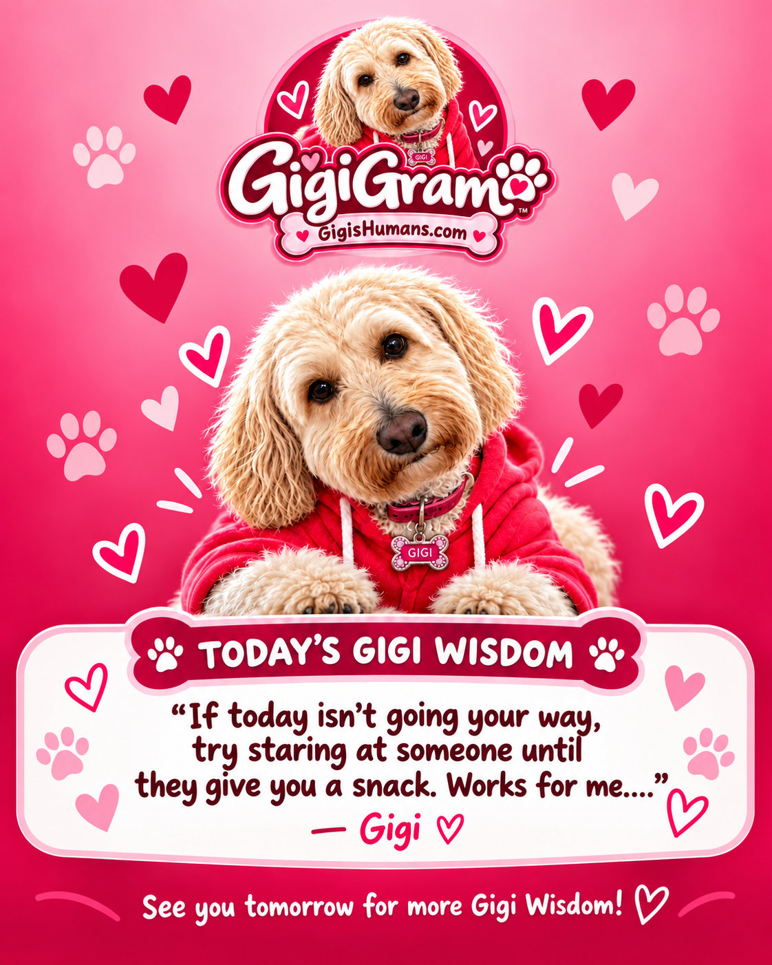 Example Daily GigiGram featuring Gigi and Gigi Wisdom